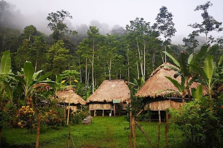 Costa Rica's 'Bribri' village: Where people live the longest