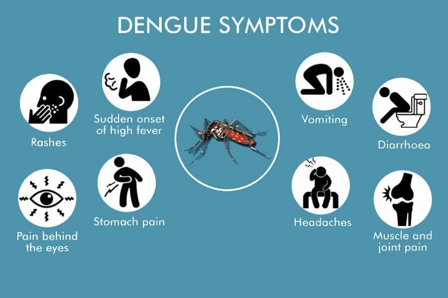 Punjab health department starts dengue awareness campaign