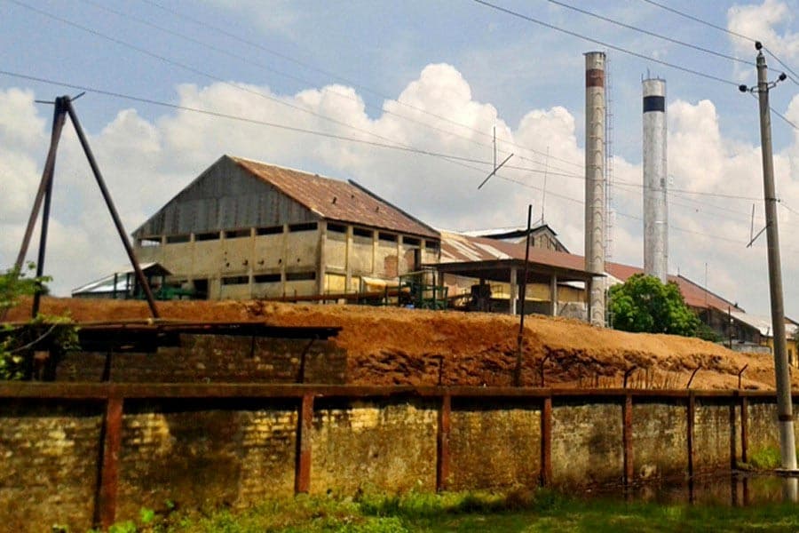 Sugar industry and rash business decisions