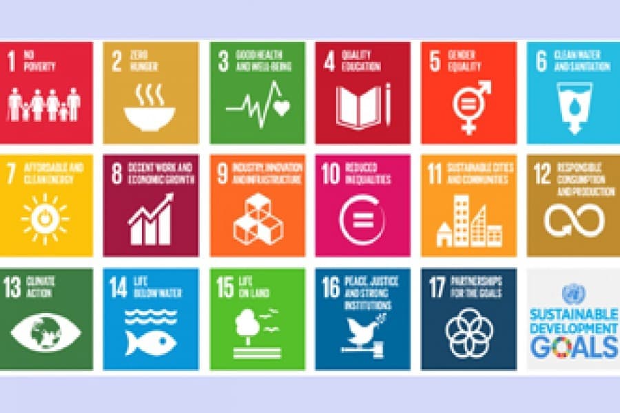Crucial phase in meeting SDGs