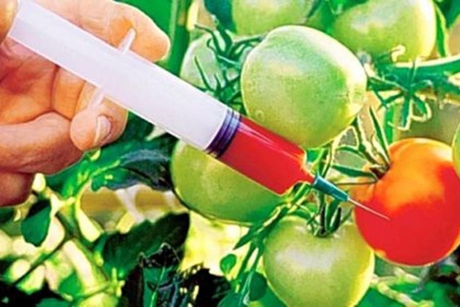 Rein in food adulteration