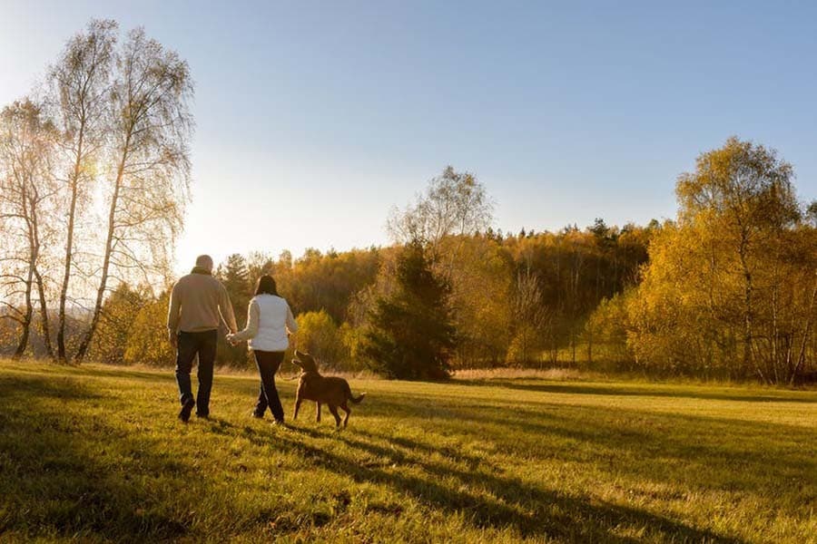 Overcoming pitfalls of rising life expectancy