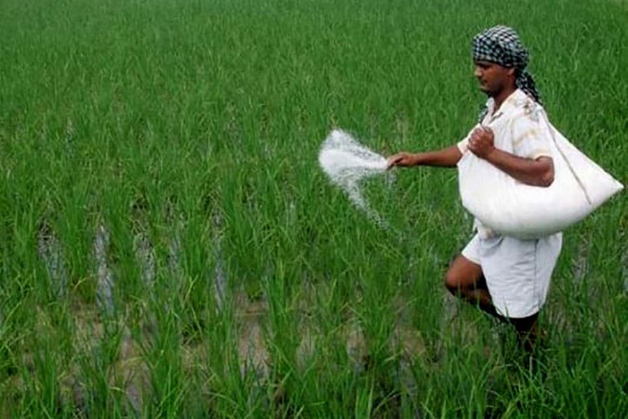 Move to set up urea fertiliser factory in Narsingdi