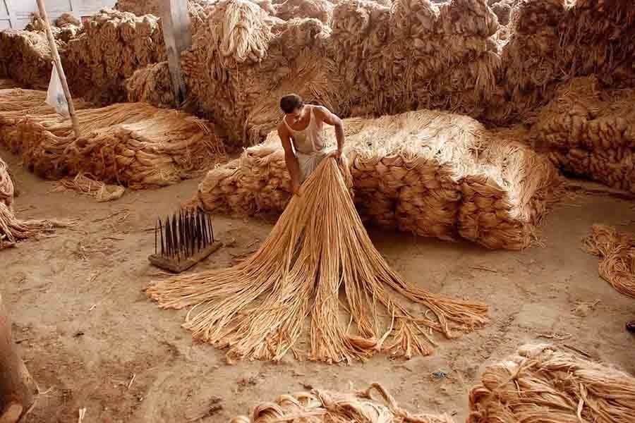 Jute sector warrants urgent bailout measures