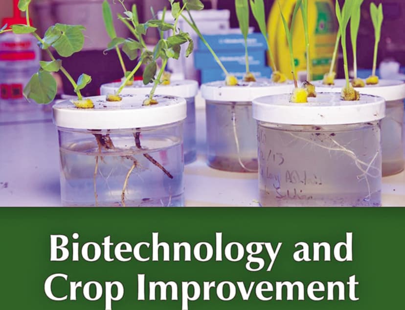 Biotechnology to boost agro productivity