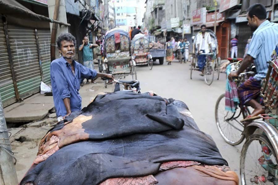 Seasonal rawhide traders count big losses in Magura