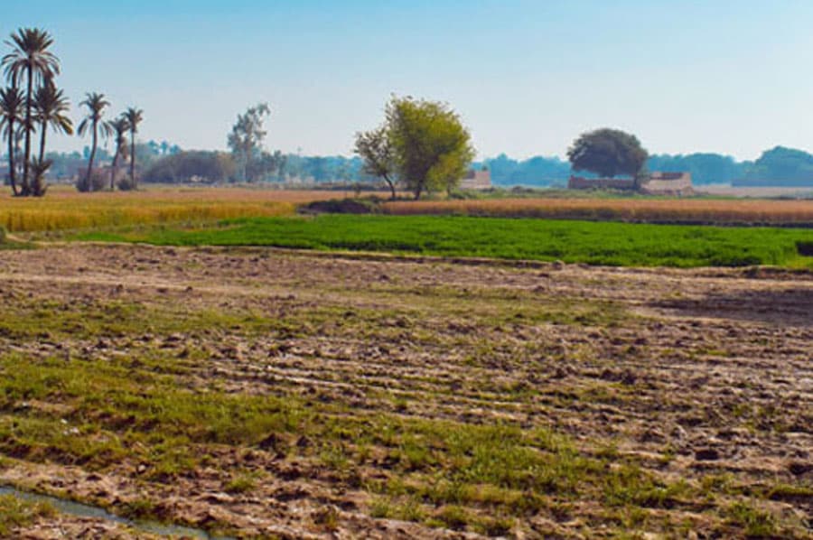 Legal measures to conserve farmlands