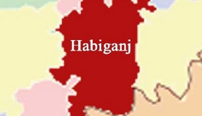 Habiganj College student raped on moving bus