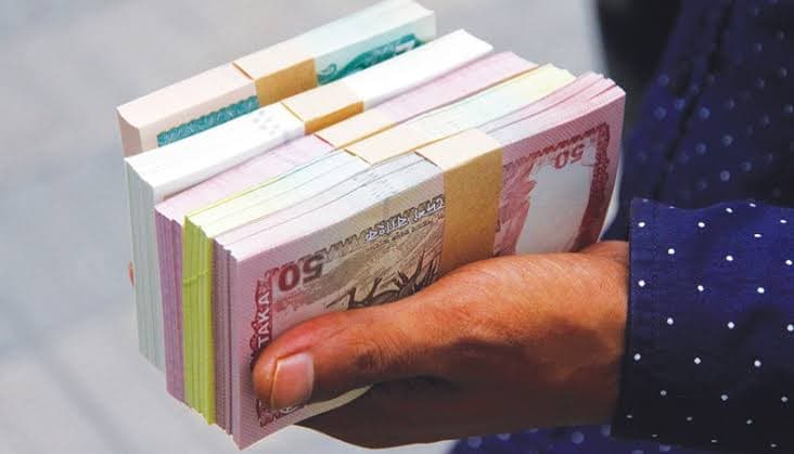Foreign firms' term loans in taka