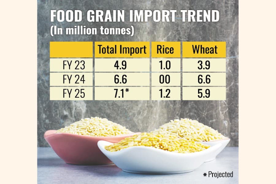 Food grain import costs set to outpace volume growth this fiscal