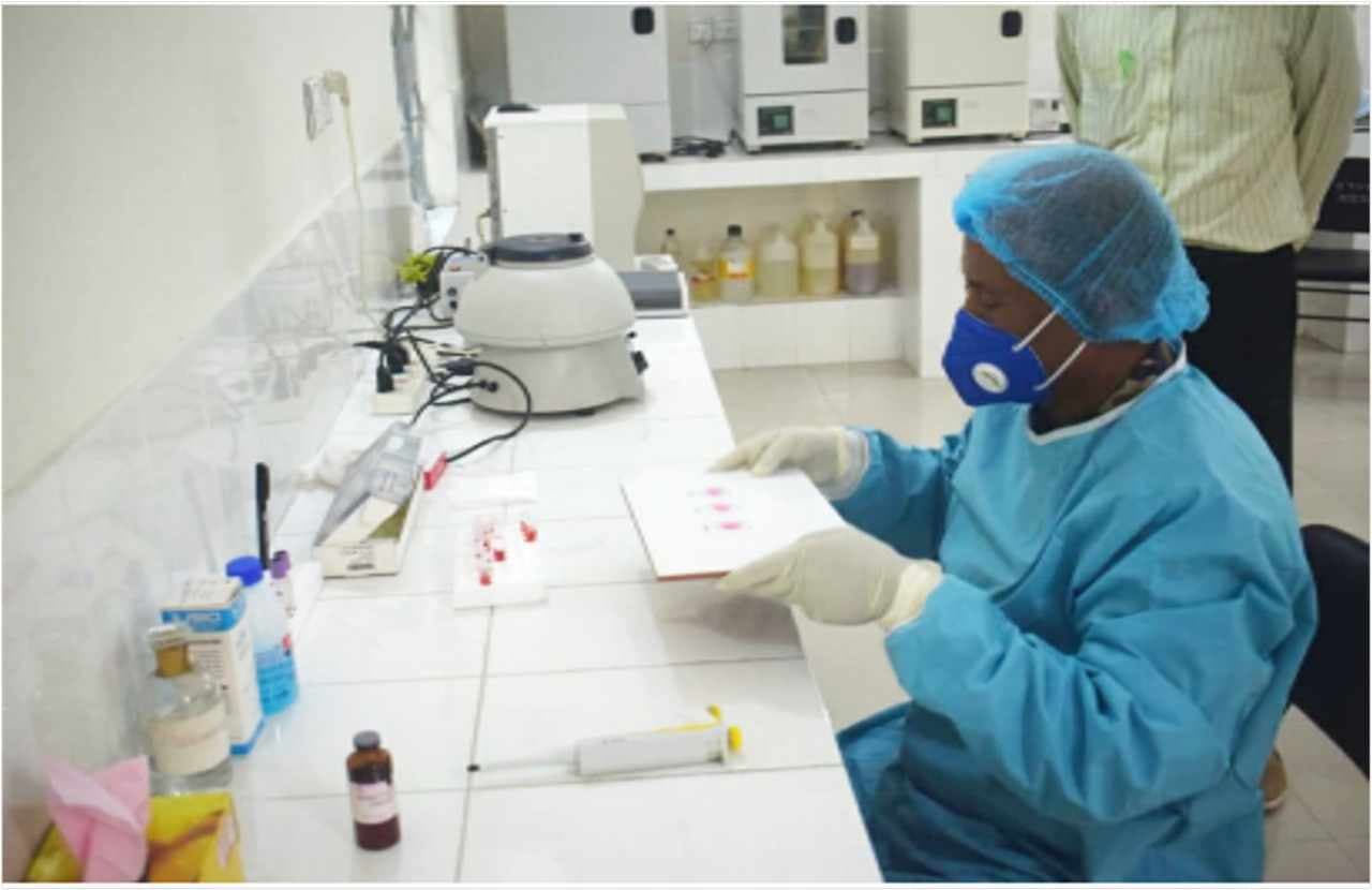 BAU researchers make first-ever use of AI to combat Brucellosis