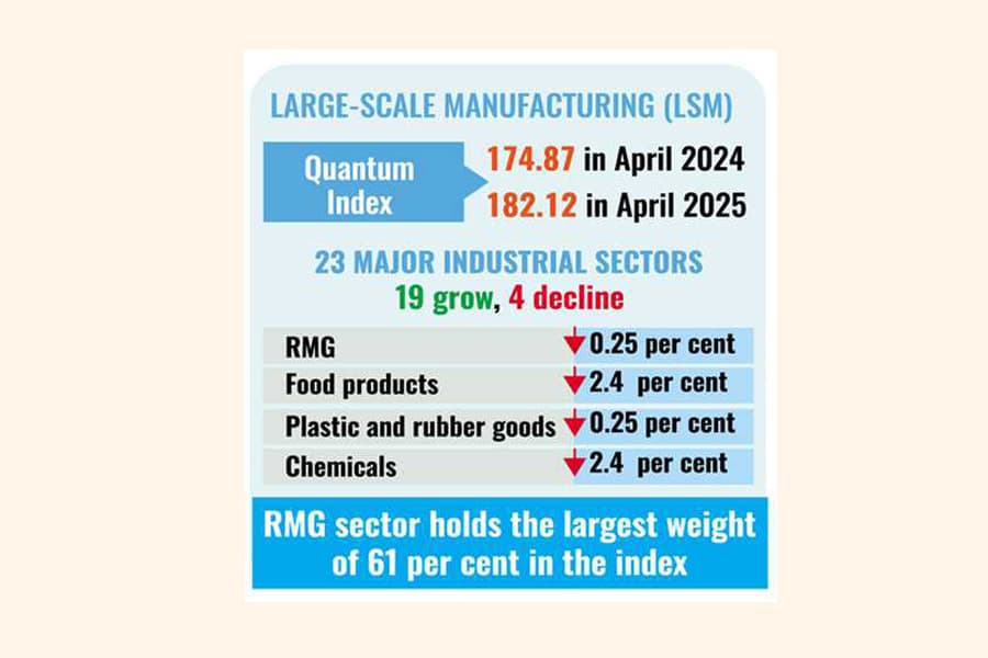 Large industries defy downturn with modest growth, RMG dips