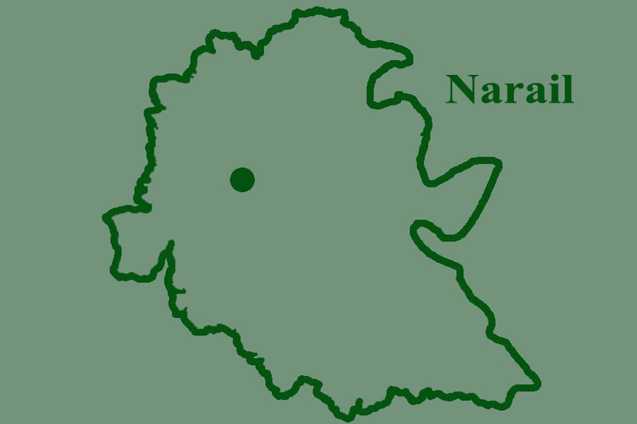 Two minor cousins drown in Narail pond
