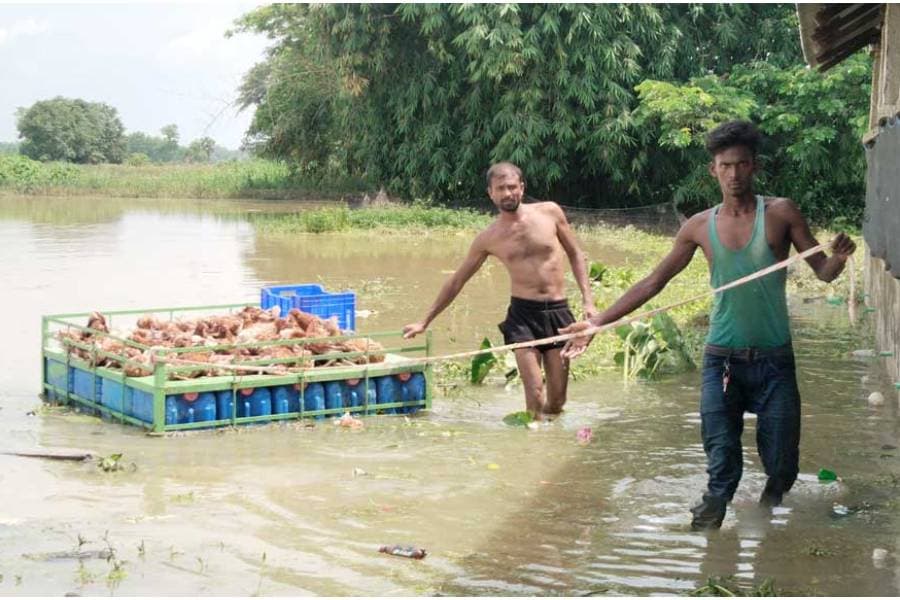 Floodwaters trap nearly 7,000 families across Feni
