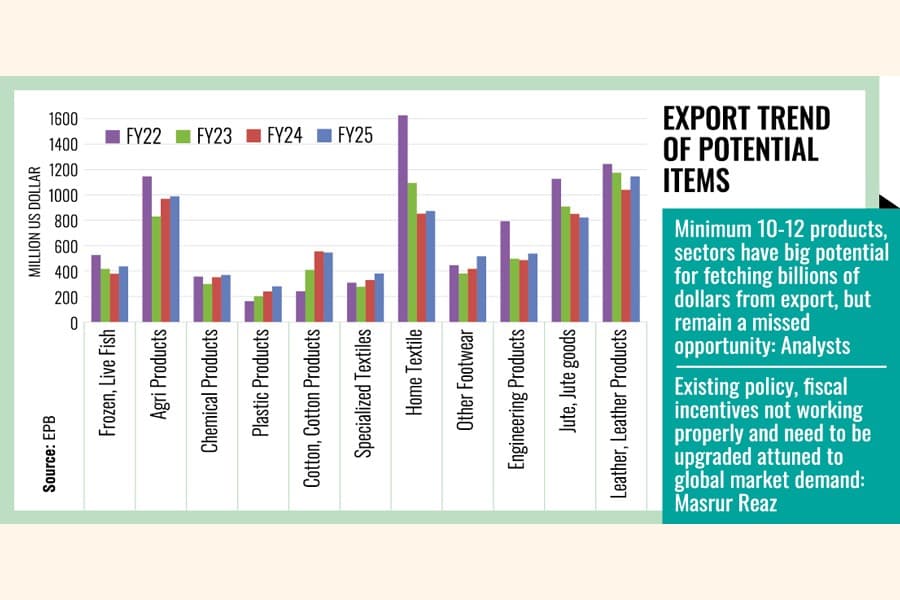 Dilatory diversification keeps exports undersized