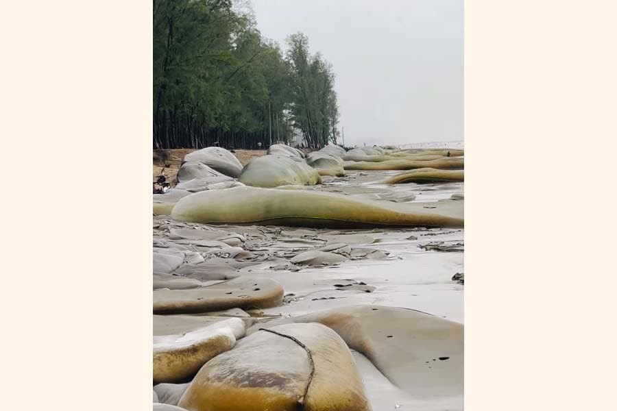 Erosion fury rages on along Cox's Bazar beach