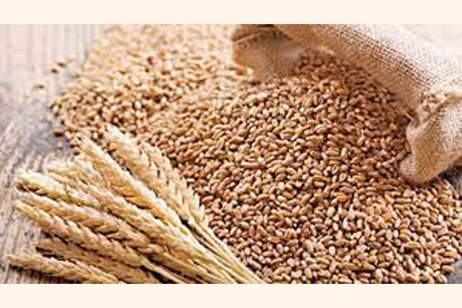 700,000 tonnes of wheat import deal with US amid rising tariffs