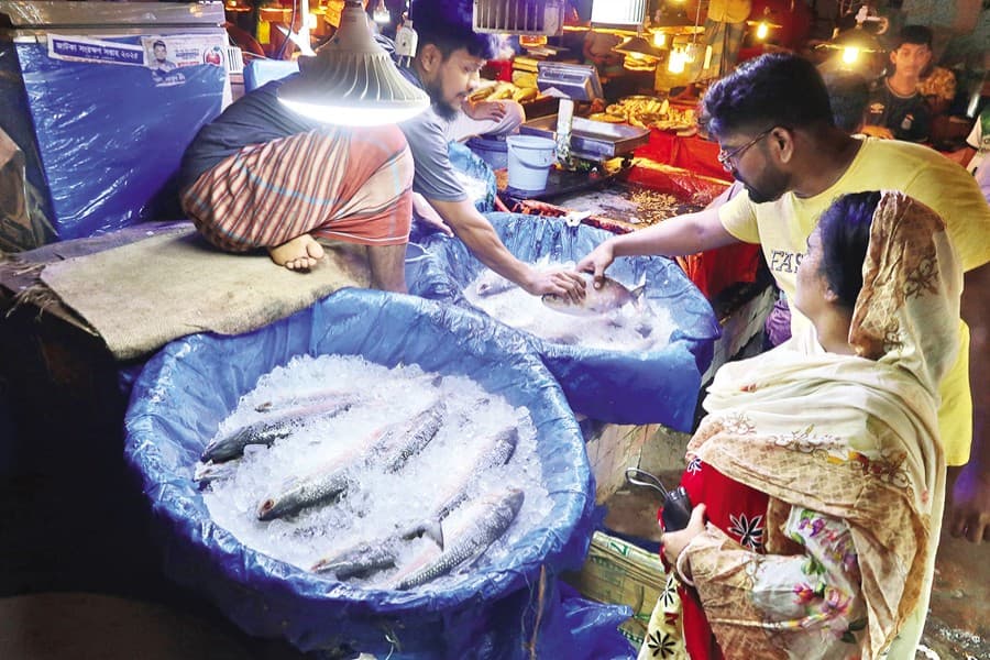 Hilsa prices hit record high, most find it out of reach