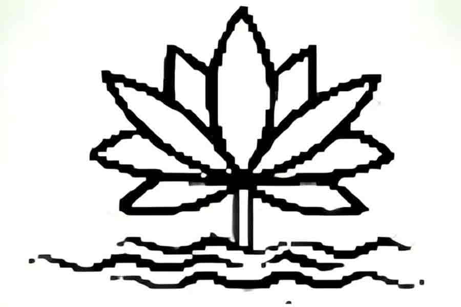NCP wants white or red water lily symbol along with traditional water lily for elections