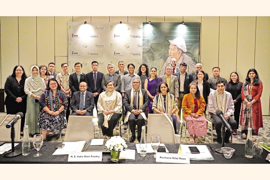 ASEAN, BIMSTEC experts focus on new initiatives on agri-food systems