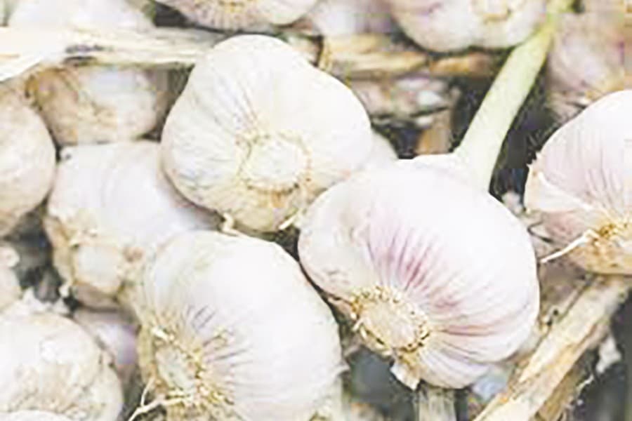 Garlic, vegetables get pricier