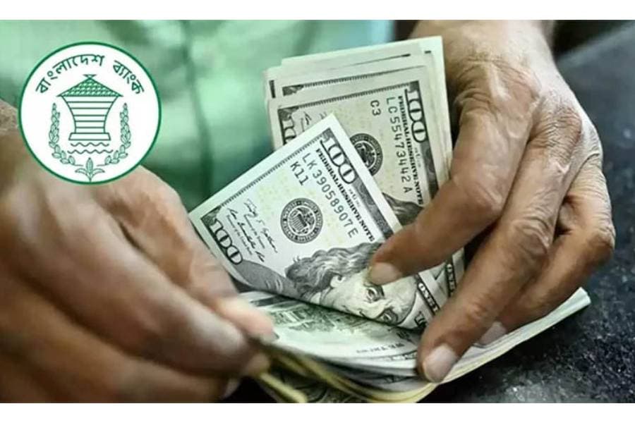 Remittance inflow rises by 25.6pc in 17 days of August