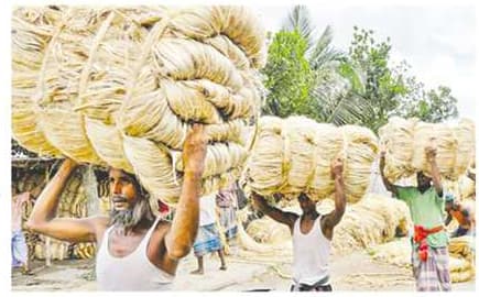 Jute spinners demand raw jute export ban, mandatory jute packaging