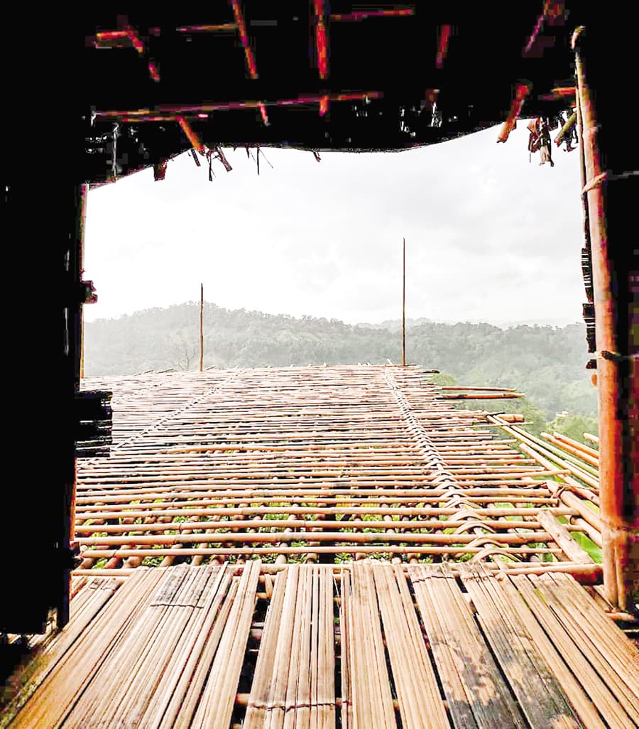 Escaping city life, finding serenity in nature