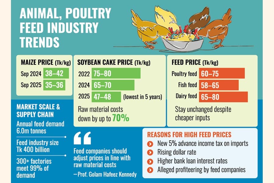 Feed prices high despite cheaper inputs