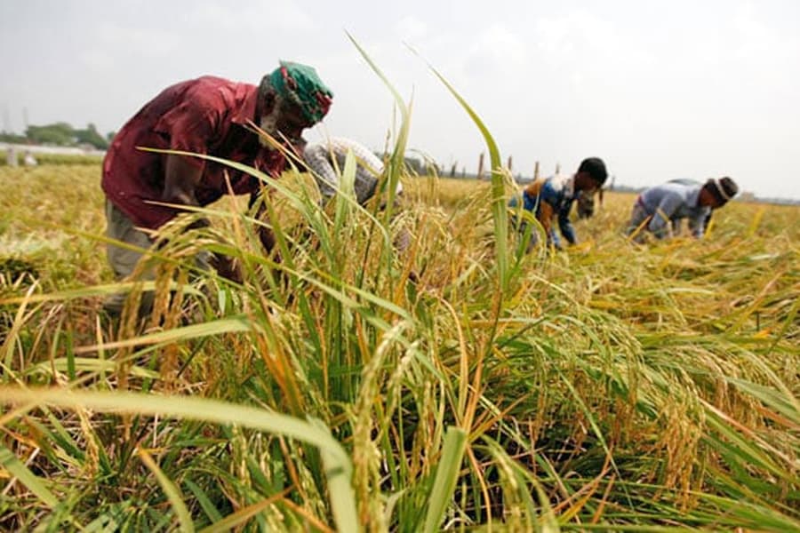 Marginal farmers, fishers left out of COP talks, experts say