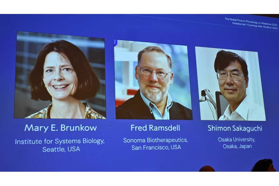 Brunkow, Ramsdell, Sakaguchi win Nobel in Medicine