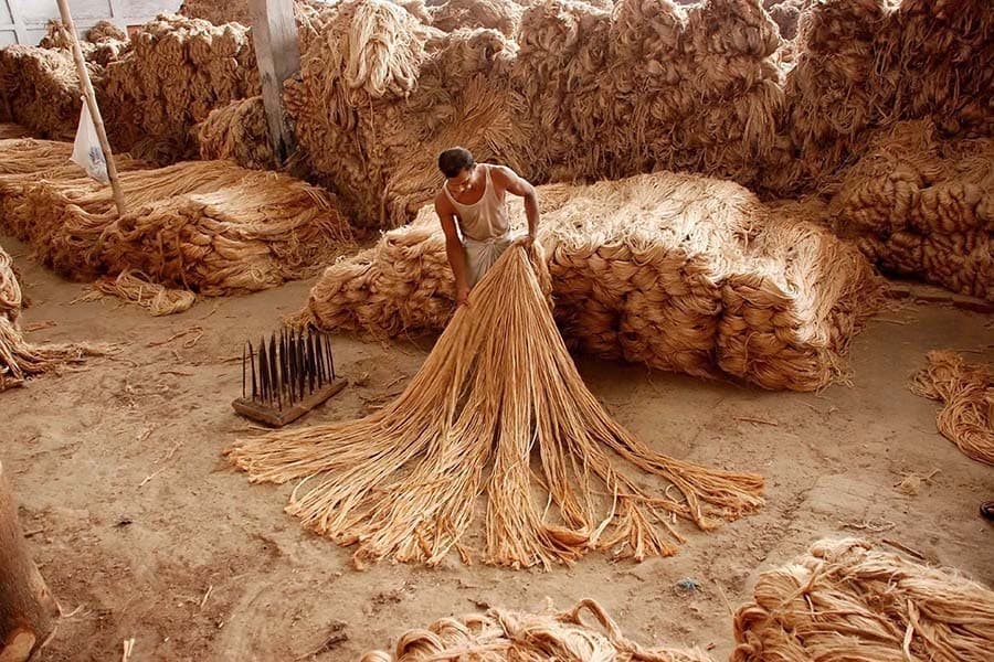 Raw jute shortage deepens despite limited exports