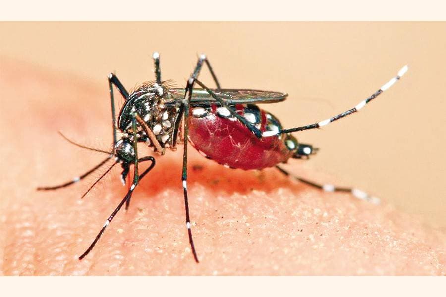 2 more die of dengue; 964 hospitalised