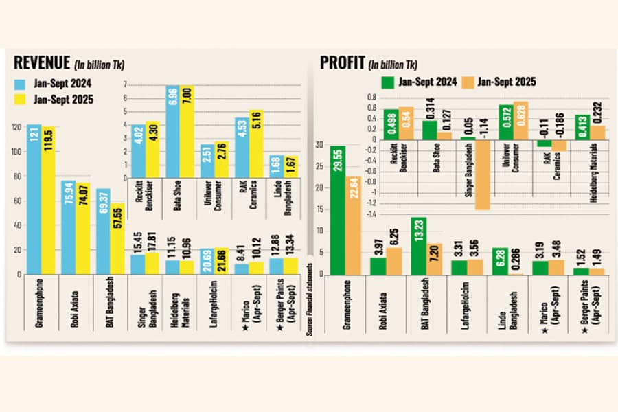 Political uncertainty drags down foreign cos' income in Jan-Sept
