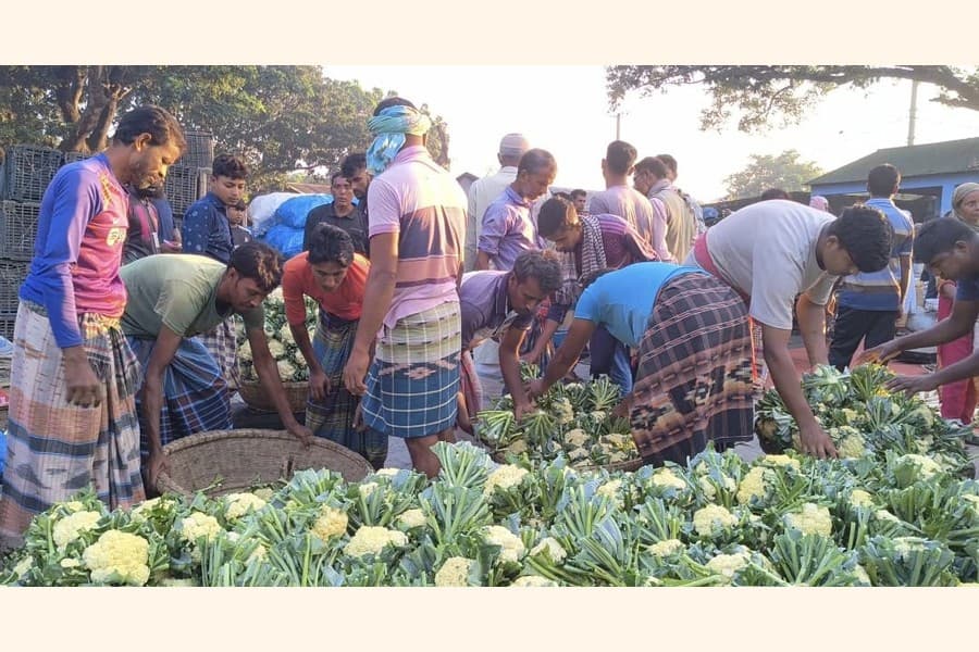 Commoners facing the brunt of winter vegetable price spiral