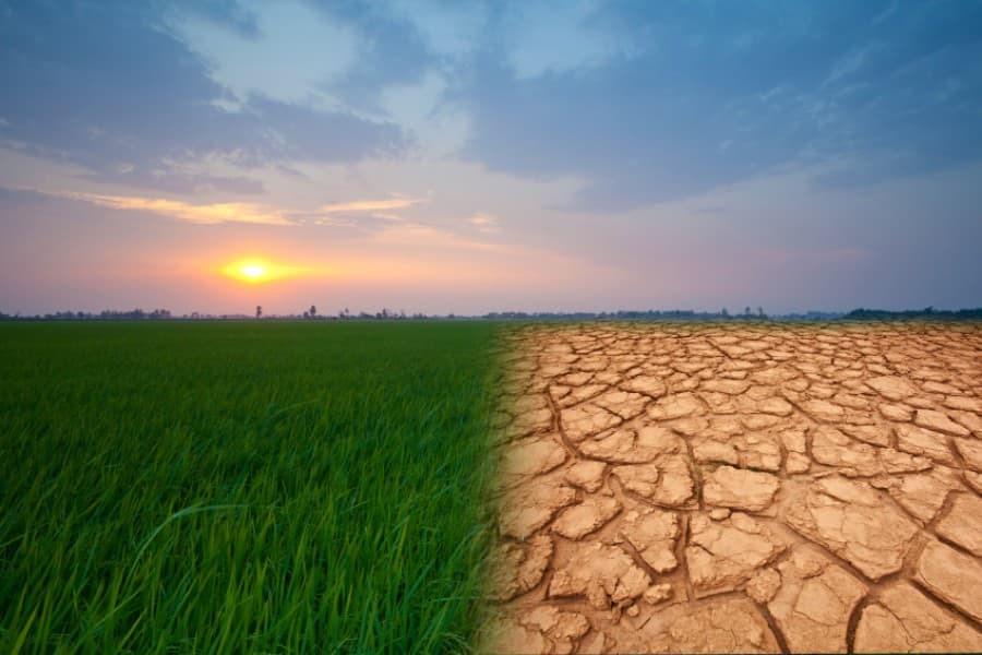 Adopt environment-friendly, resilient means: Researchers