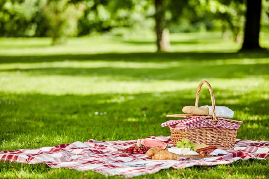 Has picnic lost its charm today?