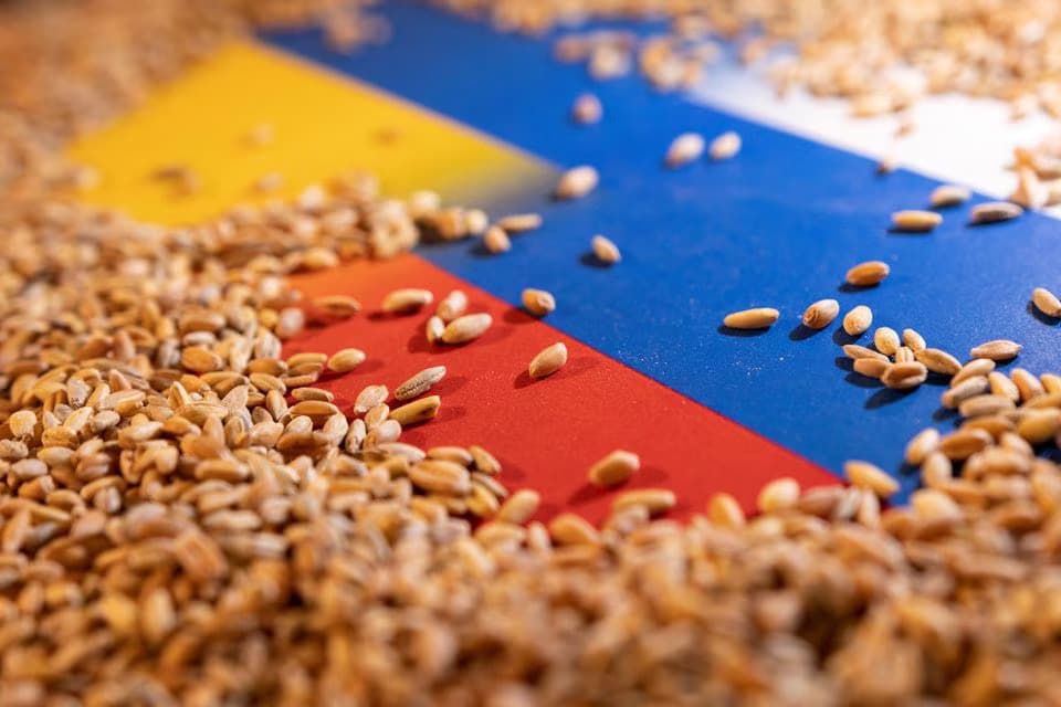 Fate of Russia-Ukraine grain deal hanging in balance