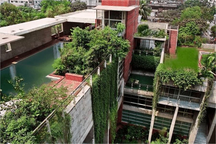 Vanishing urban greenery