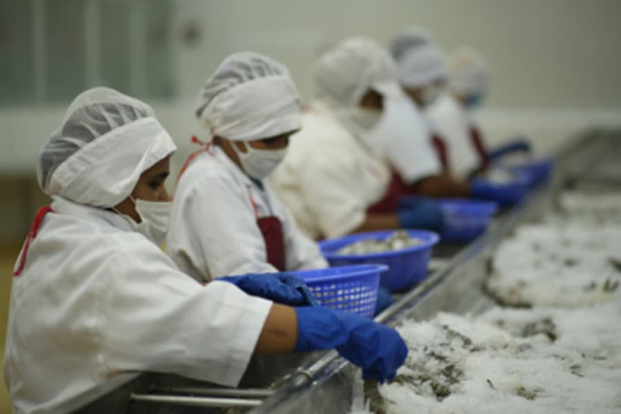 Exporters invite stakeholders to visit major zones