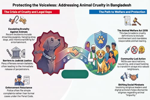 Beyond outrage: How Bangladesh can reform its animal rights regime