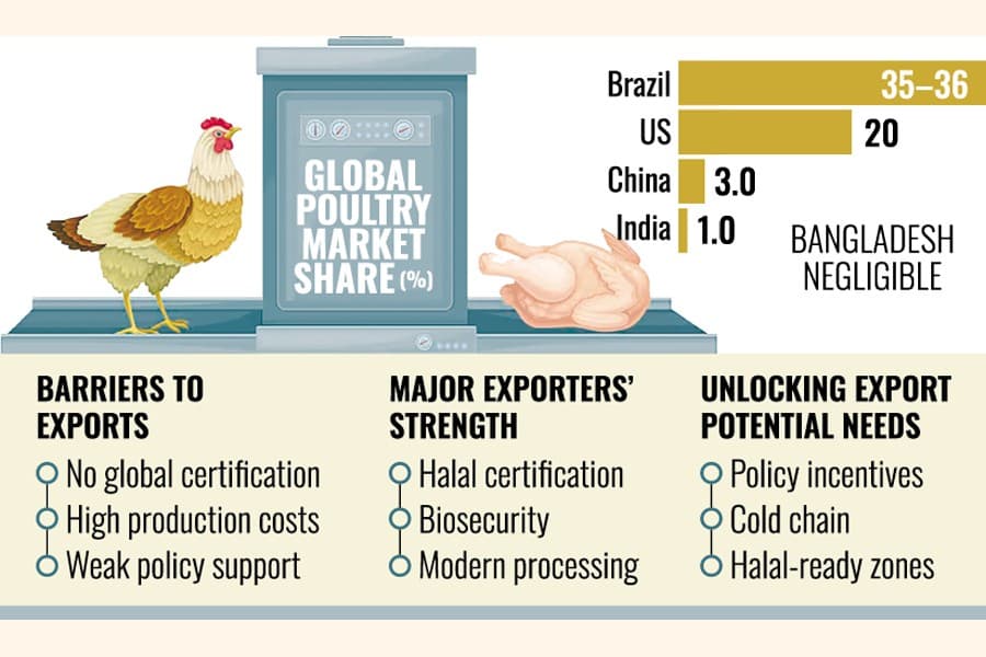 Bangladesh misses out on global poultry trade