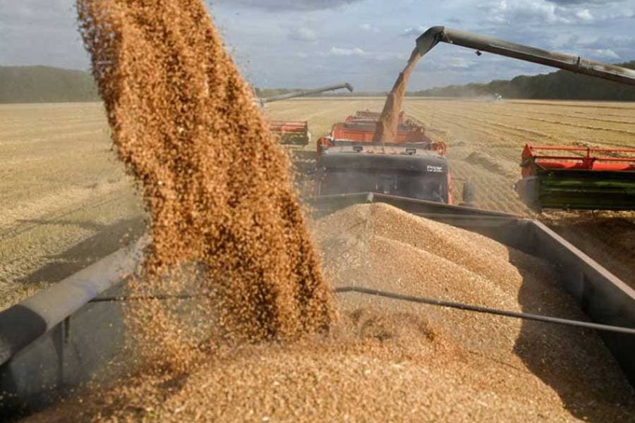 India allows export of 2.5m tonnes of wheat