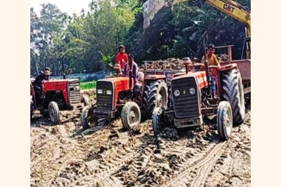 Farmlands become useless for some crops, fertility declines for others