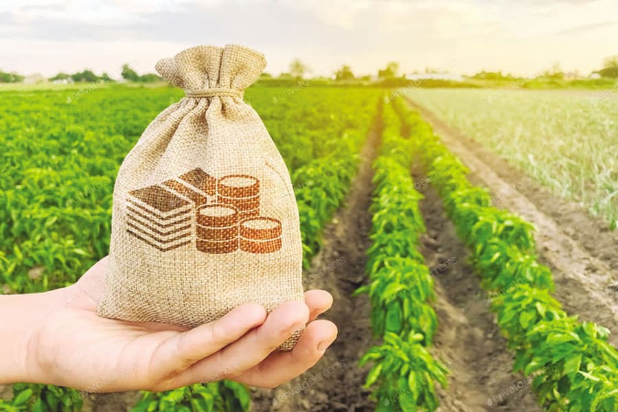 Bangladesh cabinet clears waiver of up to Tk 10,000 agricultural loans