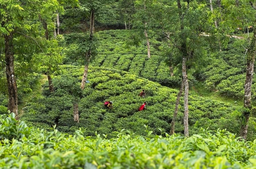 How can we attract foreign visitors to visit Bangladesh?
