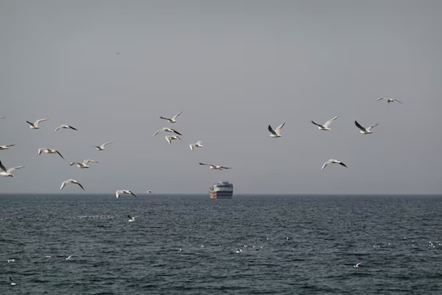 Strait of Hormuz closure: Businesses fear serious global supply chain disruptions