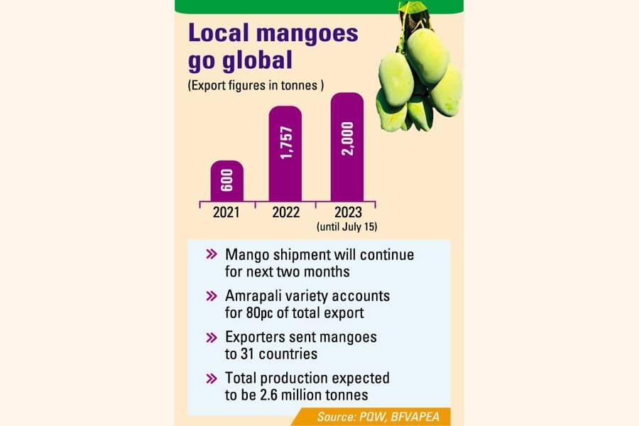 Mango exports hit all-time high