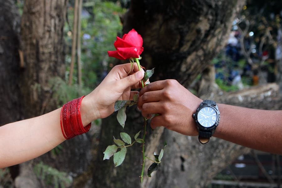 Love in the time of Spring