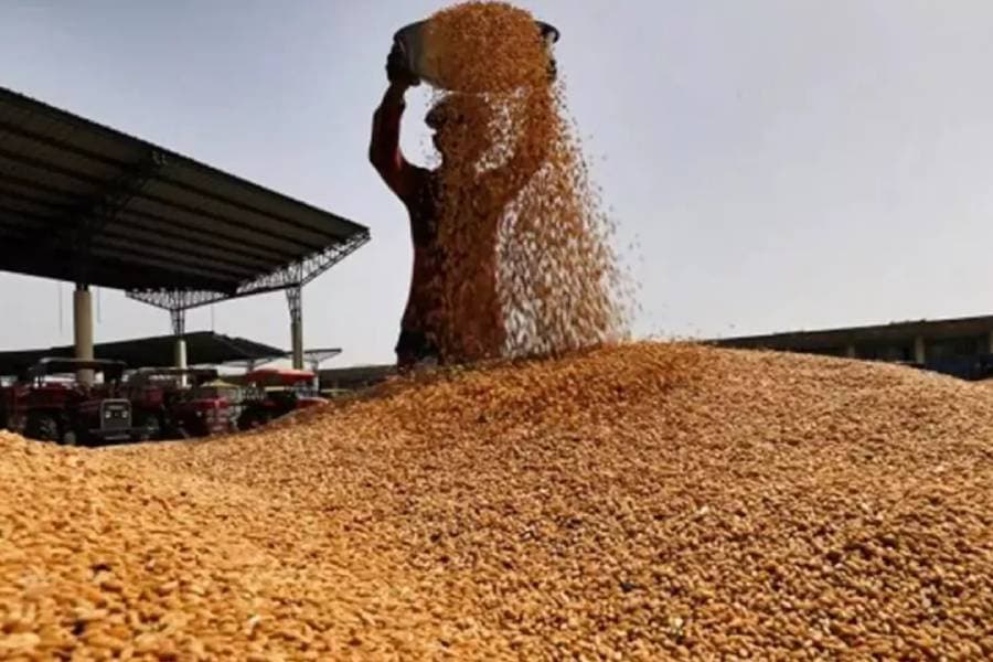62,150 tonnes of US wheat reach Chattogram port under G2G deal